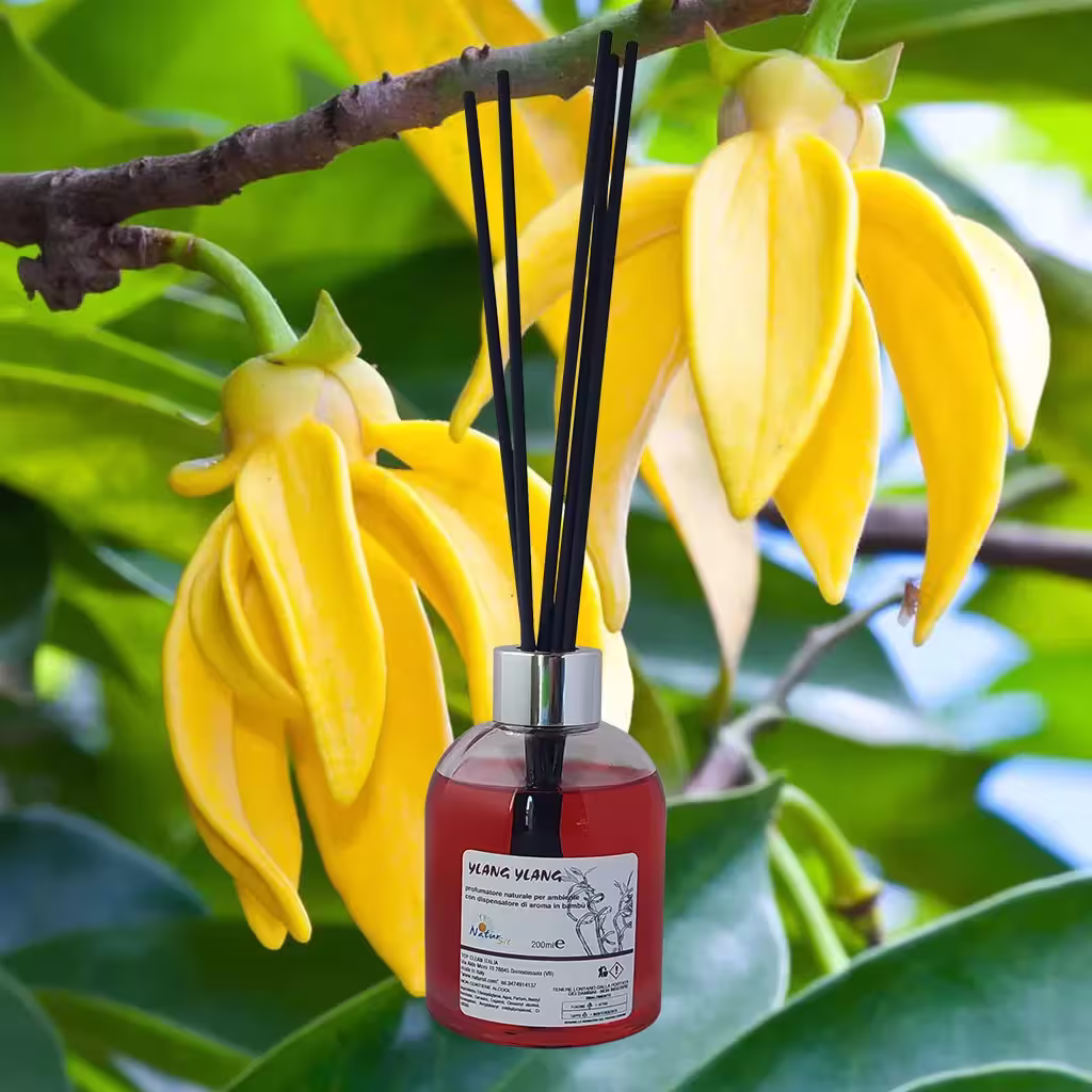 Fragranza con bastoncini Ylang Ylang